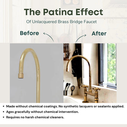 Unlacquered Brass Bridge Kitchen Faucet Set with Sprayer