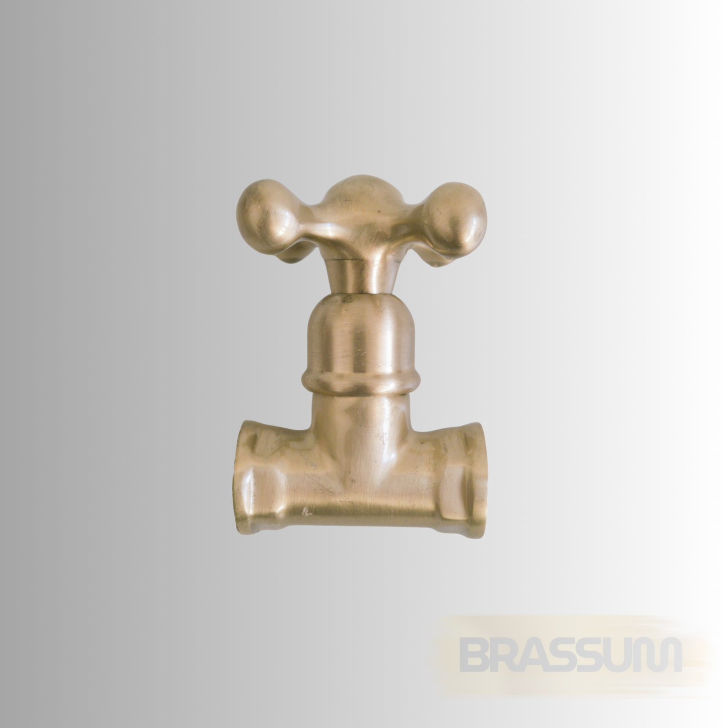 Classic Brass Gate Valve – 1/2" Standard