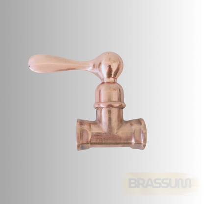 Classic Brass Gate Valve – 1/2" Standard