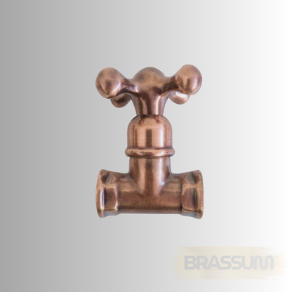 Classic Brass Gate Valve – 1/2" Standard