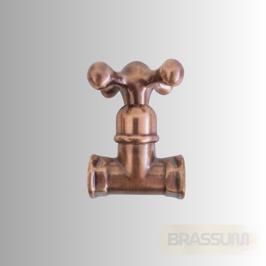 Classic Brass Gate Valve – 1/2" Standard