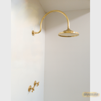 Unlacquered Solid Brass Shower Fixture