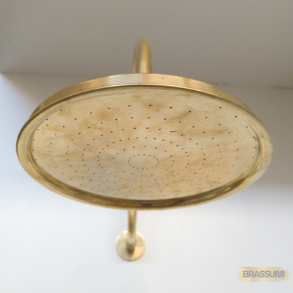 Unlacquered Solid Brass Shower Fixture