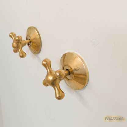 Unlacquered Solid Brass Shower Fixture